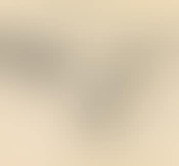 Landscape (preview)