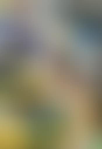 Senza titolo (preview)