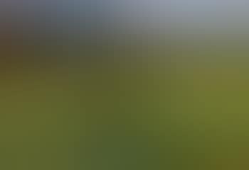 Rural Landscape (preview)
