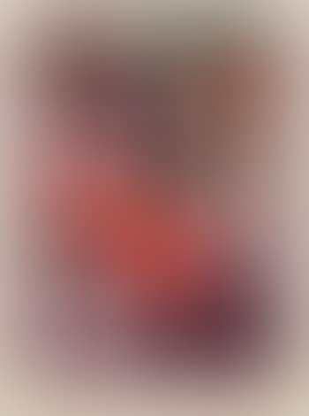Wilhelm Mozer (preview)