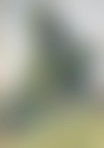 Etude d'arbre (preview)