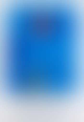 Peintures recentes 1967-1977 (Le soleil de Paris) (preview)