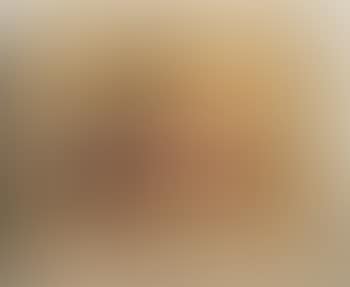Nature morte (preview)