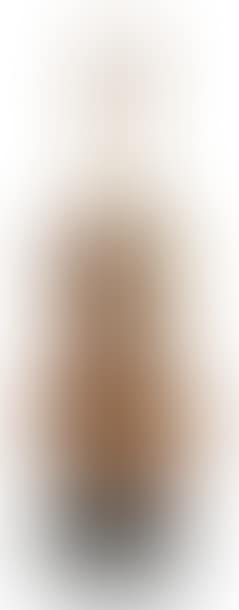 Violon alto Prisme (preview)