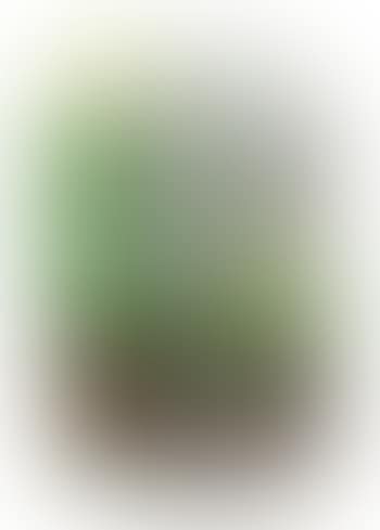 Compression (preview)