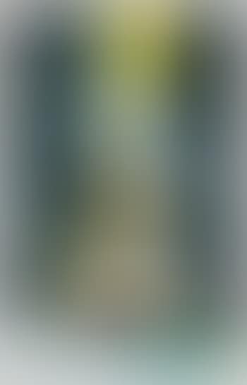 Untitled (preview)