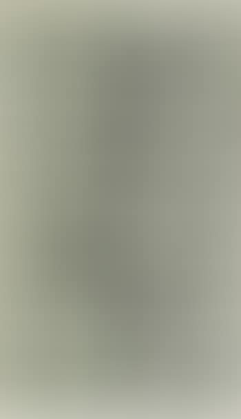Dollar paper (preview)