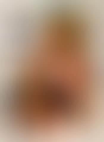 Bullfighter (preview)