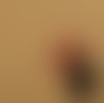 Kate Moss/Dirty Funker (preview)