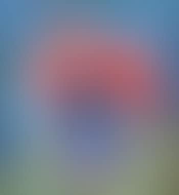 Vase de coquelicots (preview)