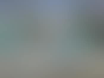 Paysage des Alpilles (preview)