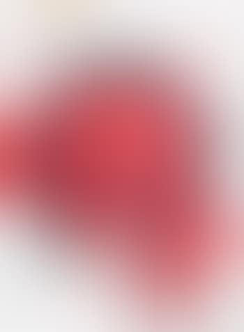 Portrait en rouge de Philippine (preview)