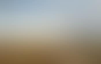 Weite Landschaft mit Schafhirten und Staffagefiguren (preview)