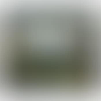 Paisaje (preview)