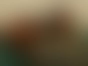 Still life (preview)
