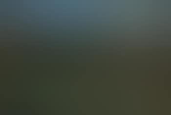 Summer landscape (preview)