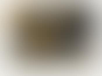 Formes i Vernis (preview)