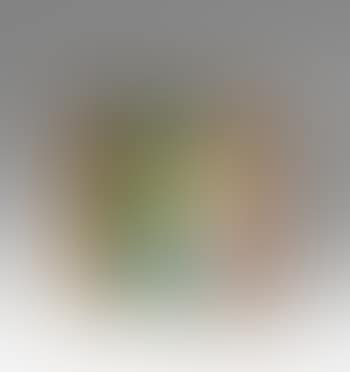 Für besonders lange refereate als Notration (preview)