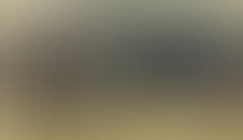 Ohne titel (preview)