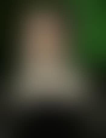 Portrait einer vornehmen Dame (preview)
