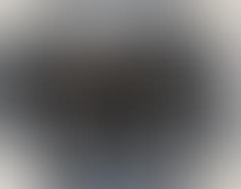 Black Palm (preview)