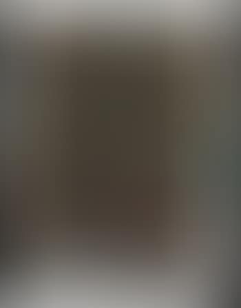 Color vision II (preview)