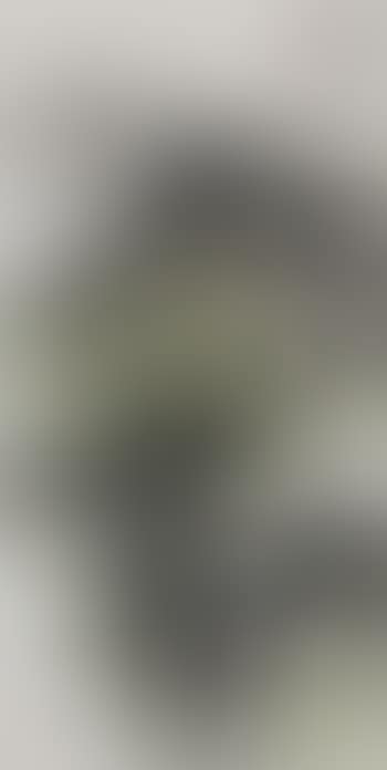 Landscape (preview)