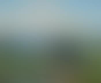 Bei Viertäler, Feldberg (preview)