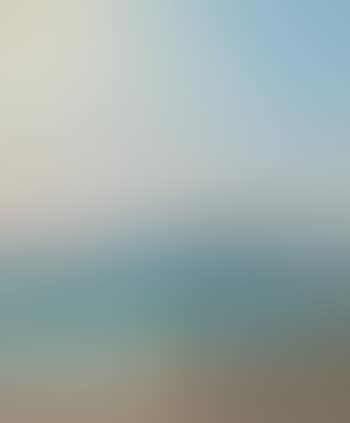 View from the coast towards the sea with two-master (preview)
