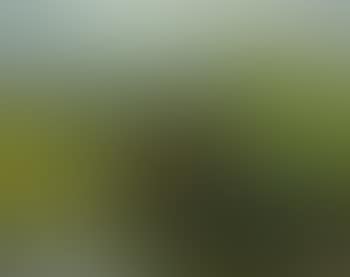 Paysage au pont (preview)