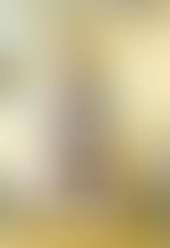 Apparition du visage de l'Aphrodite de cnide dans un paysage (preview)