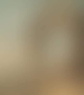 View of Venice (preview)