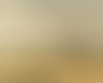 The fox hunt (preview)