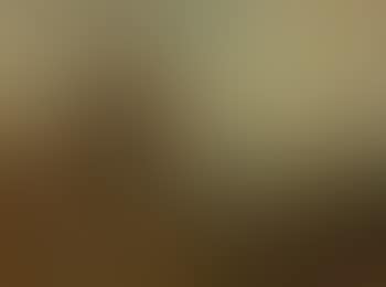Landscape (preview)