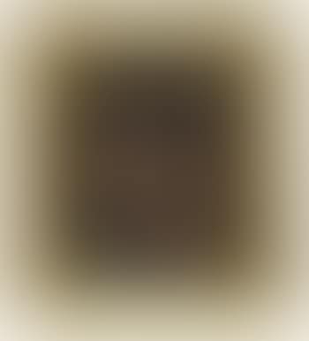 Porträtt (preview)
