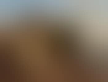 An der Mosel (preview)