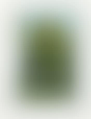 '860 Homo Humus come va 10 001 nights' (preview)