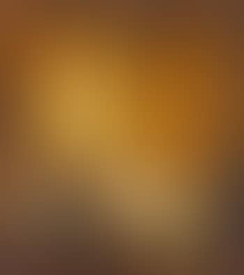 Abendgesellschaft (preview)