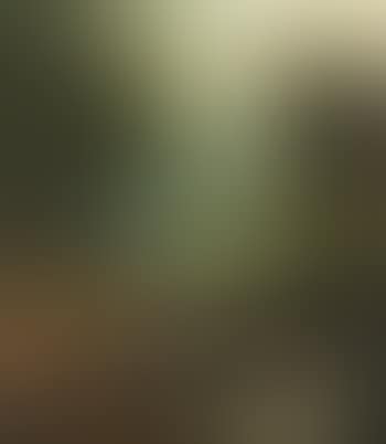 Deer by a Mountain Stream (preview)