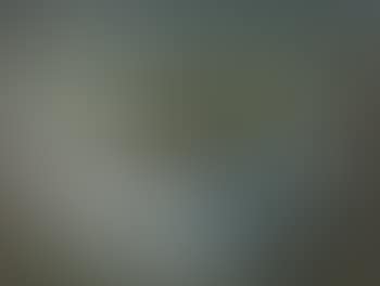 Couple dans un paysage (preview)