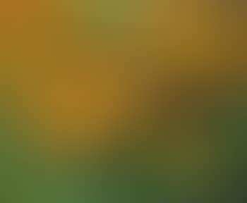 Nature morte aux fruits (preview)