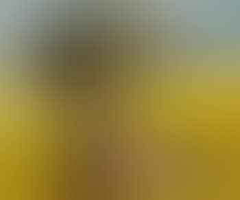 Bather (preview)