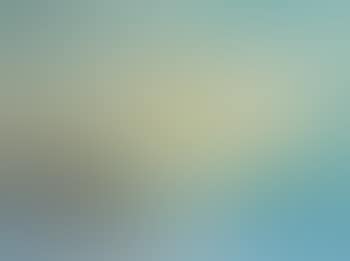Bird in Landscape (preview)