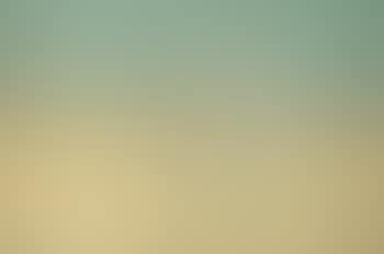 Suez (preview)