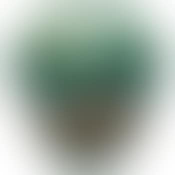 Vase, #442-29 , (preview)