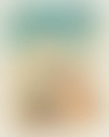 Yuccas in Mountain Landscape (preview)