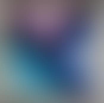 [Untitled] (preview)