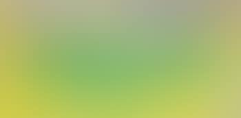 Venise (preview)