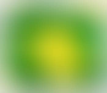 Untitled (SFE 073 RC) (preview)