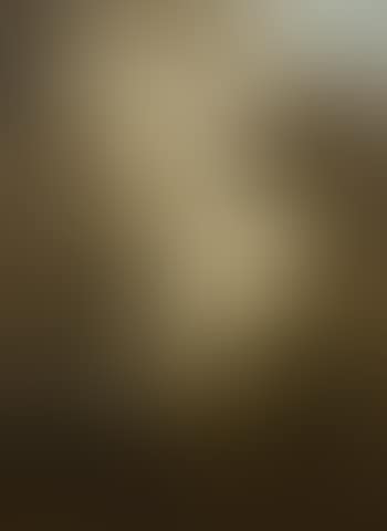 Paysage automnal (preview)